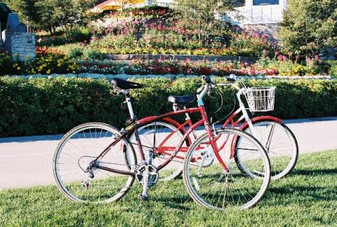 Bikes and Flowers (480 x 324).jpg